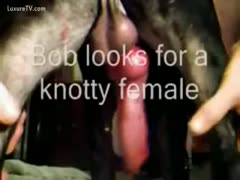 Owner shows off his dogs completely biggest knob! 